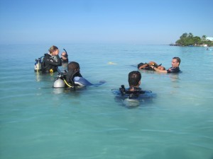 dive skills 72