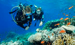 Discover Scuba Diving Course