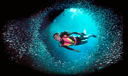 master scuba diver