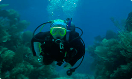 open water diver course