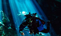 other speciality diving courses