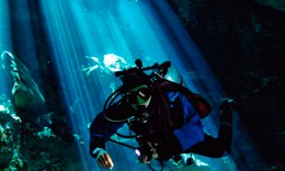 Other Speciality Diving Courses