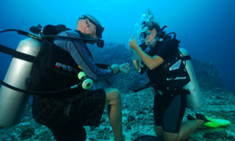 padi idc staff instructor