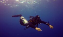 Sidemount