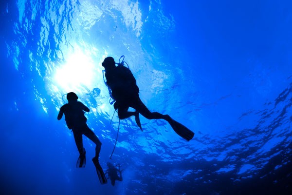 Blue Sea Diving